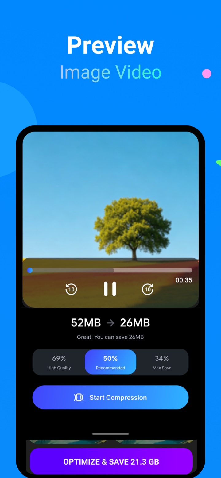 Video compression preview screenshot
